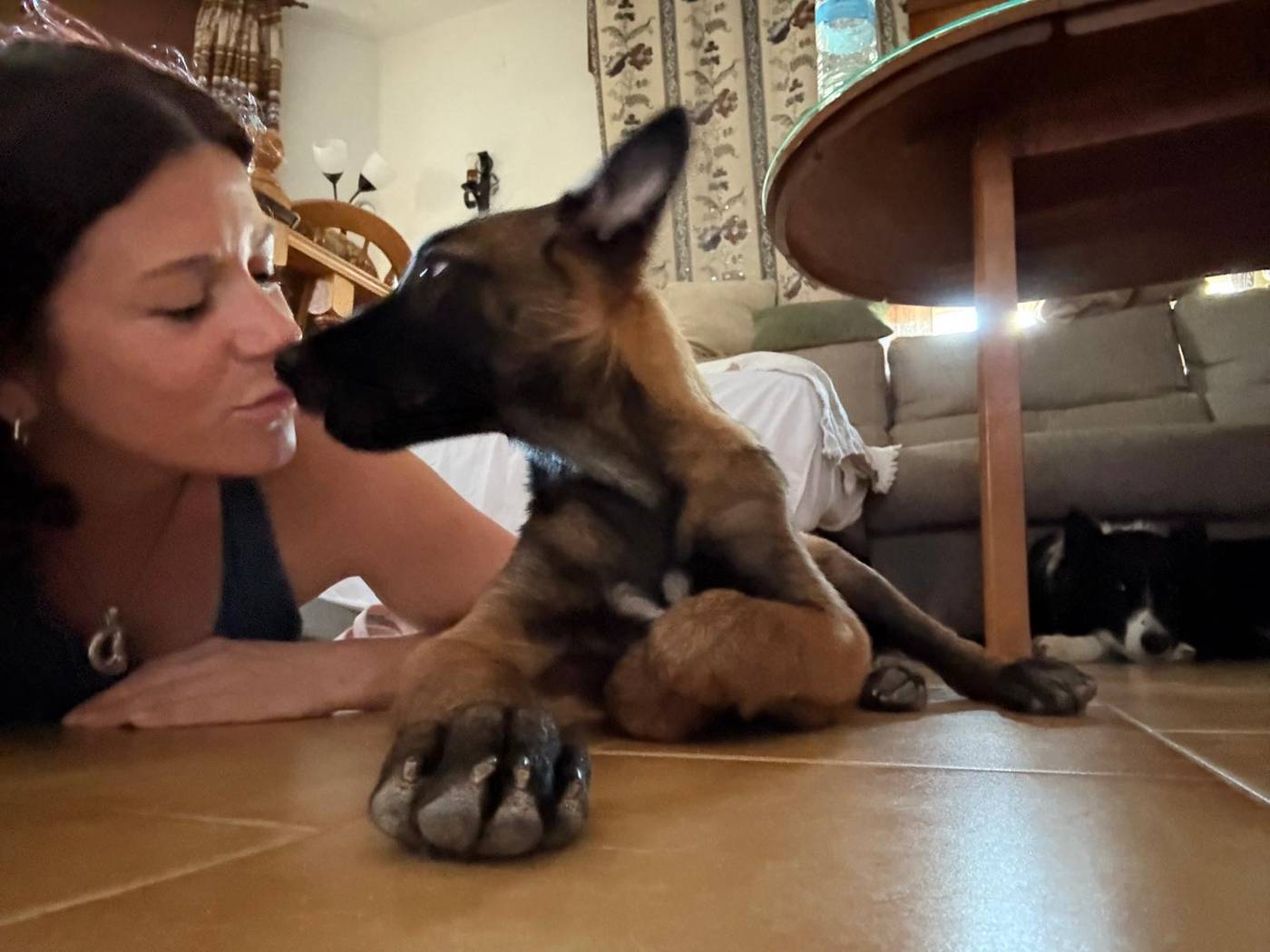 Educadora dando un beso a un cachorro