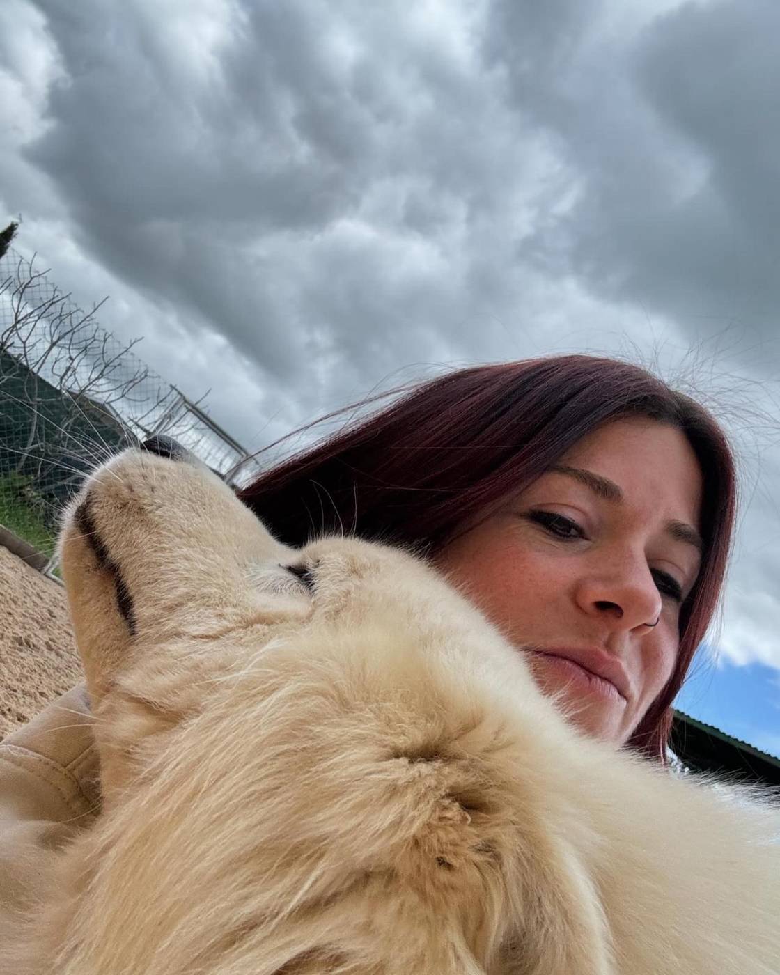 Perro de pelo largo y claro